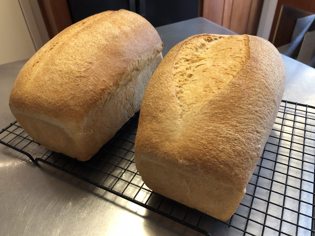 Two loaves of 100% whole wheat bread