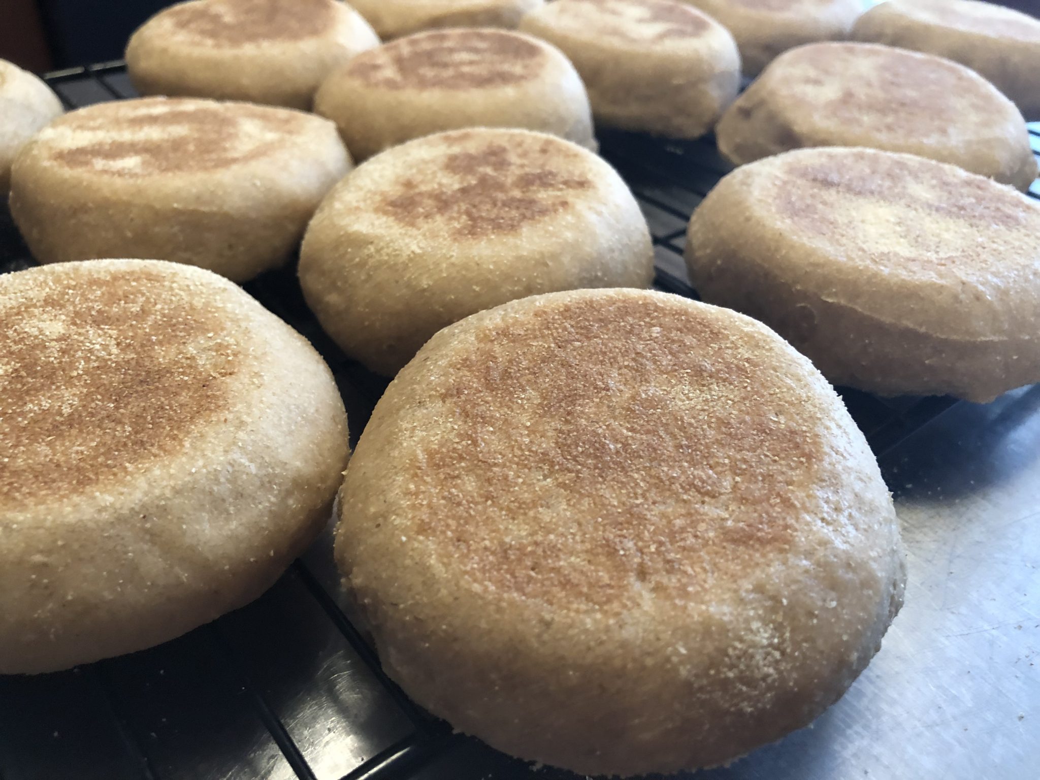 Sourdough english muffins